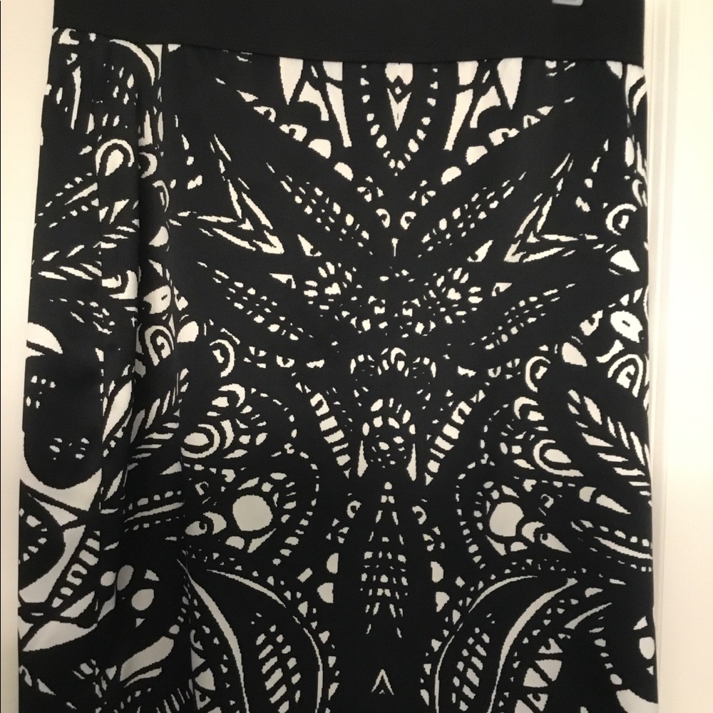 Silky Express brand Lined Pencil Skirt